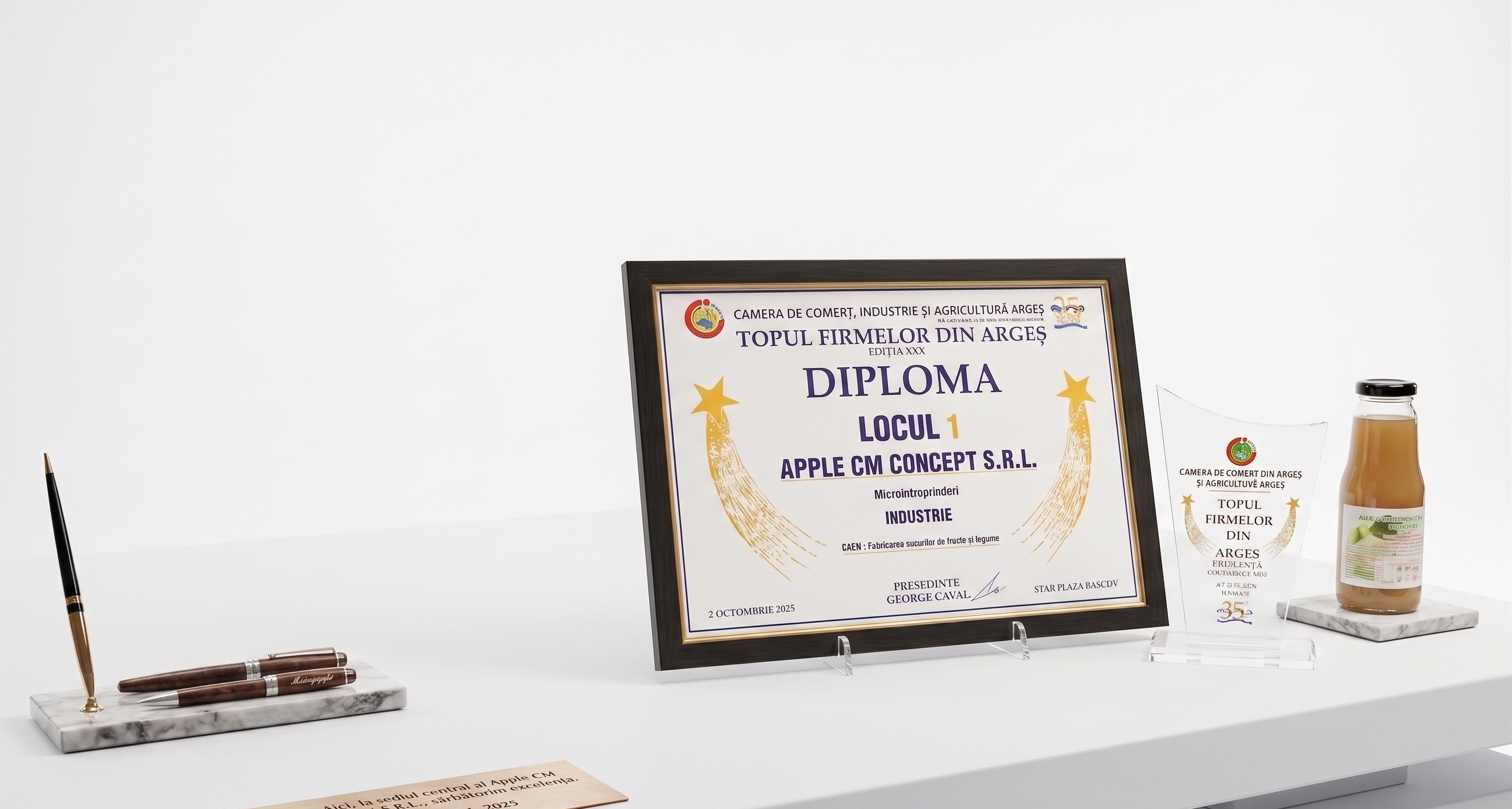 Diploma Camera de Comert